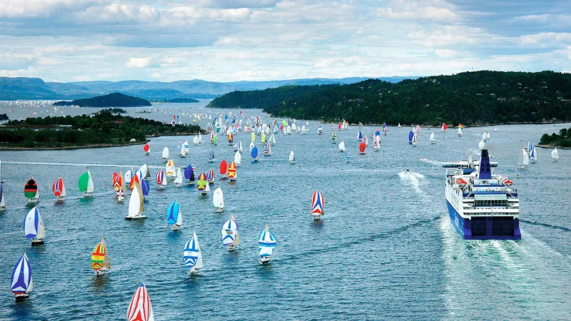 Flere seilbåter samlet på fjorden